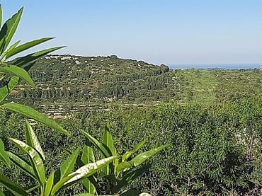 Terreny residencial en venda a Cervera del Maestre
