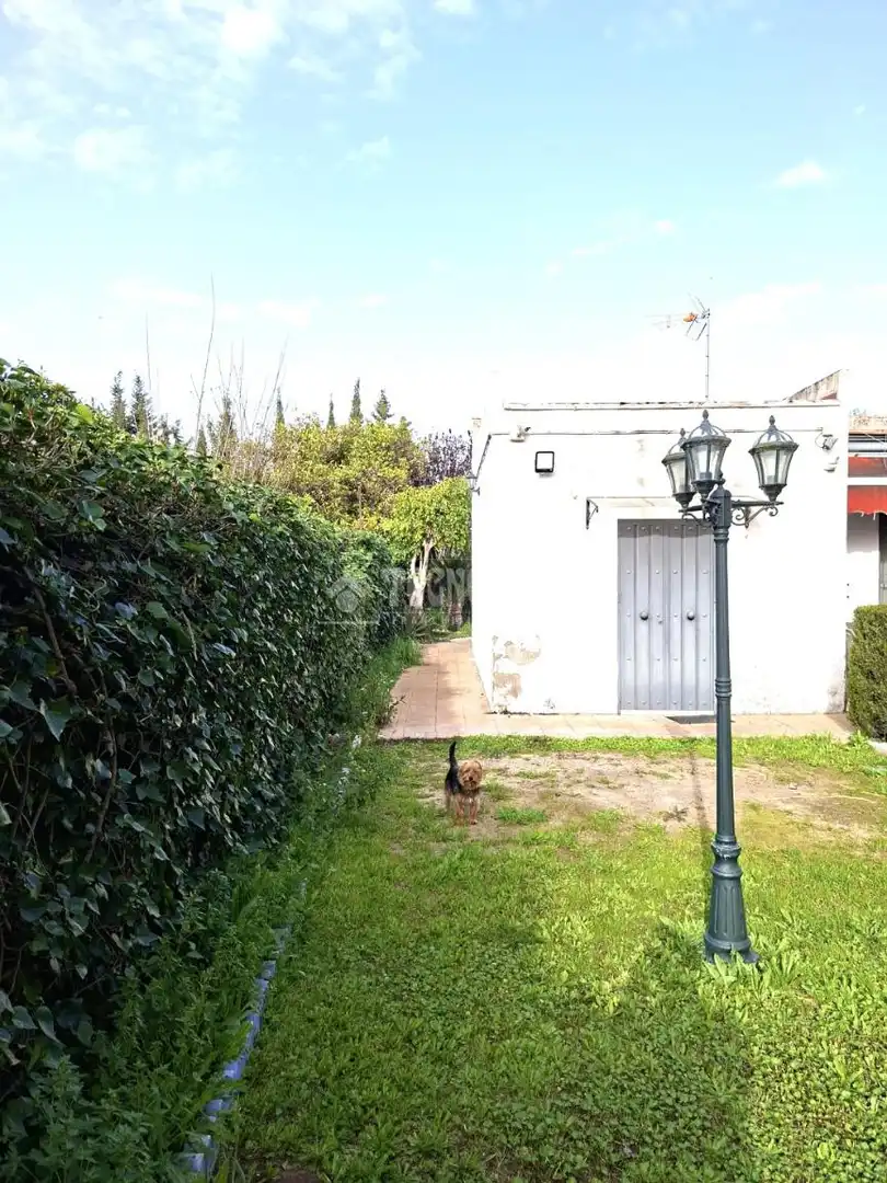 Jardí de Finca rústica en venda en Coria del Río