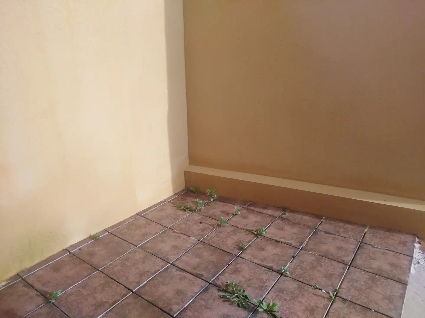 Terrassa de Casa o xalet en venda en Luciana amb Aire condicionat, Traster i Moblat