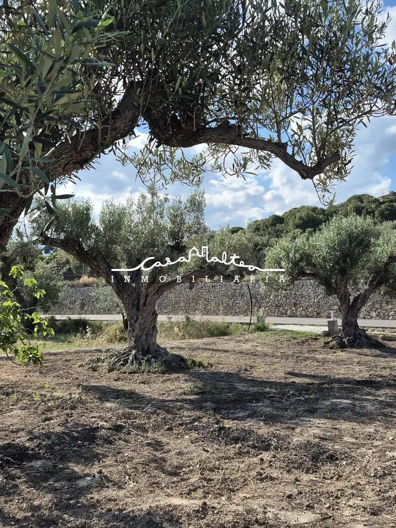 Terreno rustico in vendita a Altea ciudad, imagen 6