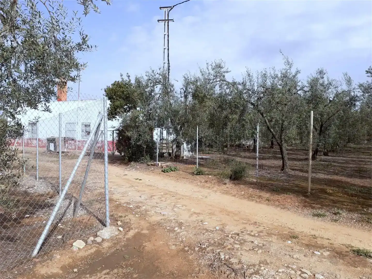 Finca rústica en venta en Benacazón