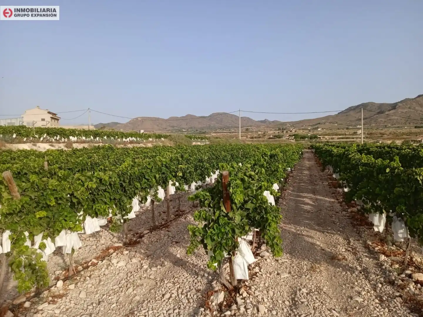 Vista exterior de Casa o chalet en venta en Novelda con Jardín privado, Terraza y Trastero