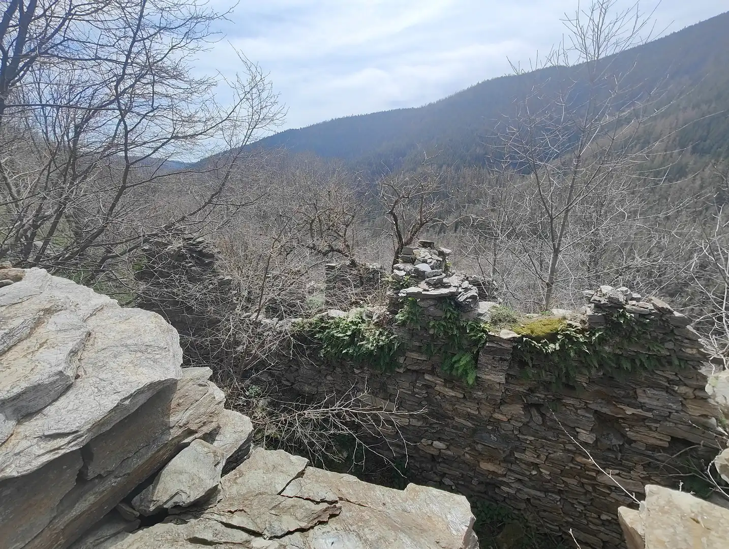 Vista exterior de Finca rústica en venta en Molló con Jardín privado y Balcón