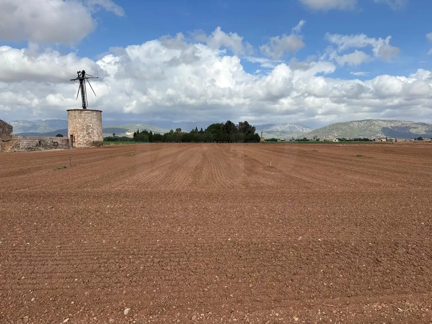 Terreny rústic en venda a Sa Pobla, imagen 6