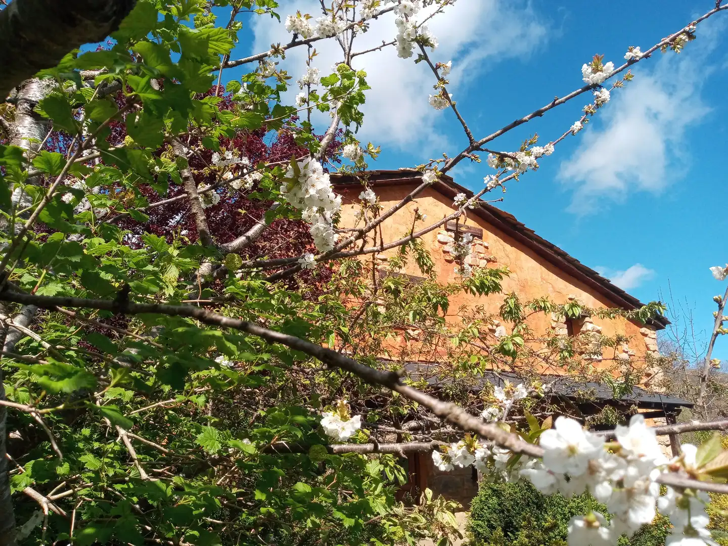 Jardín de Finca rústica en venta en San Roque de Riomiera con Jardín privado