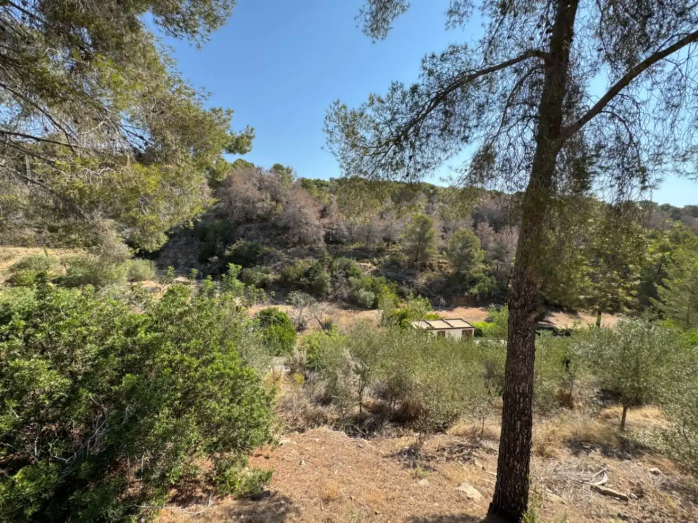 Wohnbaugrundstück zum Verkauf in La Fustera, imagen 13