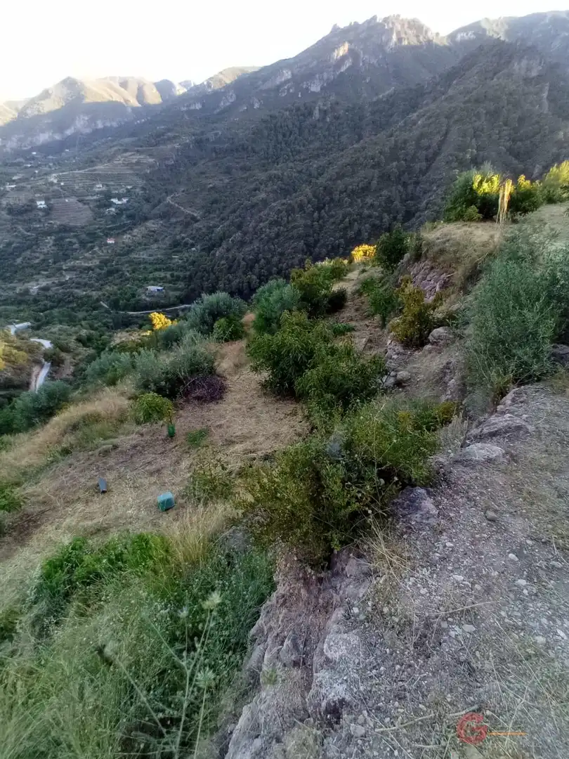 Terrenys i solars en venda a Los Guájares, imagen 15