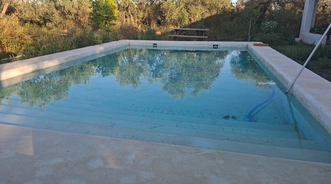 Foto 4 de Casa o chalet de alquiler en N/a, -1, Umbrete, Sevilla