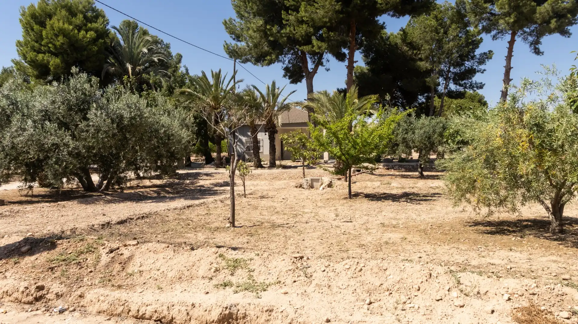 Casa o chalet en venta en Elche / Elx con Aire acondicionado, Trastero y Amueblado