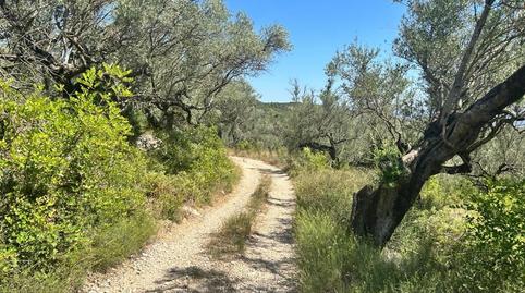 Foto 2 de Residencial en venda a Polígono 6 Parcela 126, Mas de Barberans, Tarragona