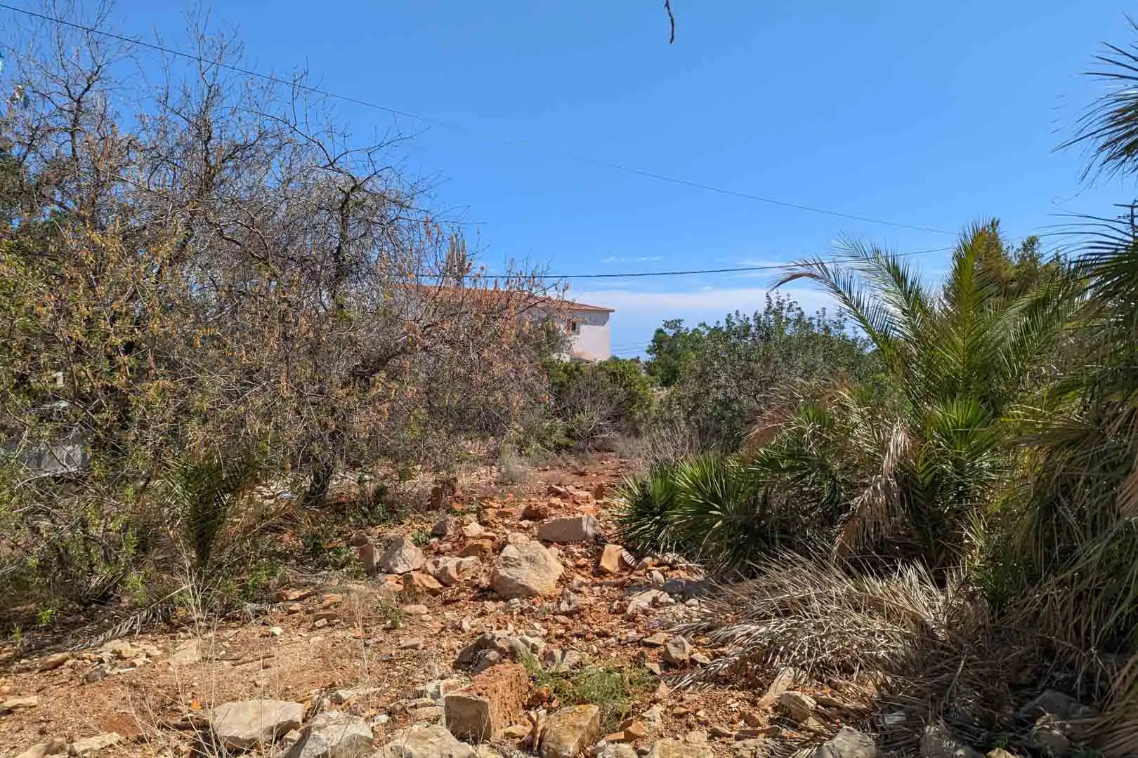 Terreno residencial en venta en El Montgó, imagen 3