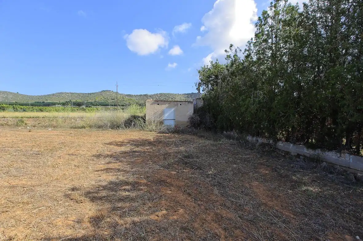 Rural land for sale in Alcanar, imagen 2