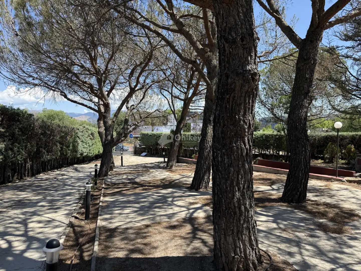 Jardín de Casa o chalet en venta en Galapagar con Calefacción, Terraza y Trastero