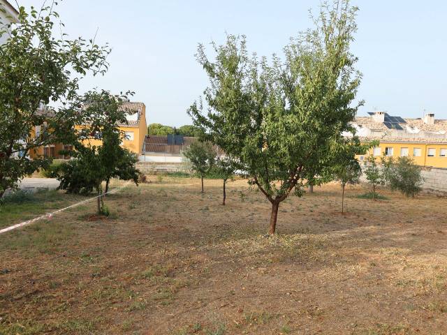 Terreno residencial en Venta en Calle Monte Espejo, 3 en Mollina