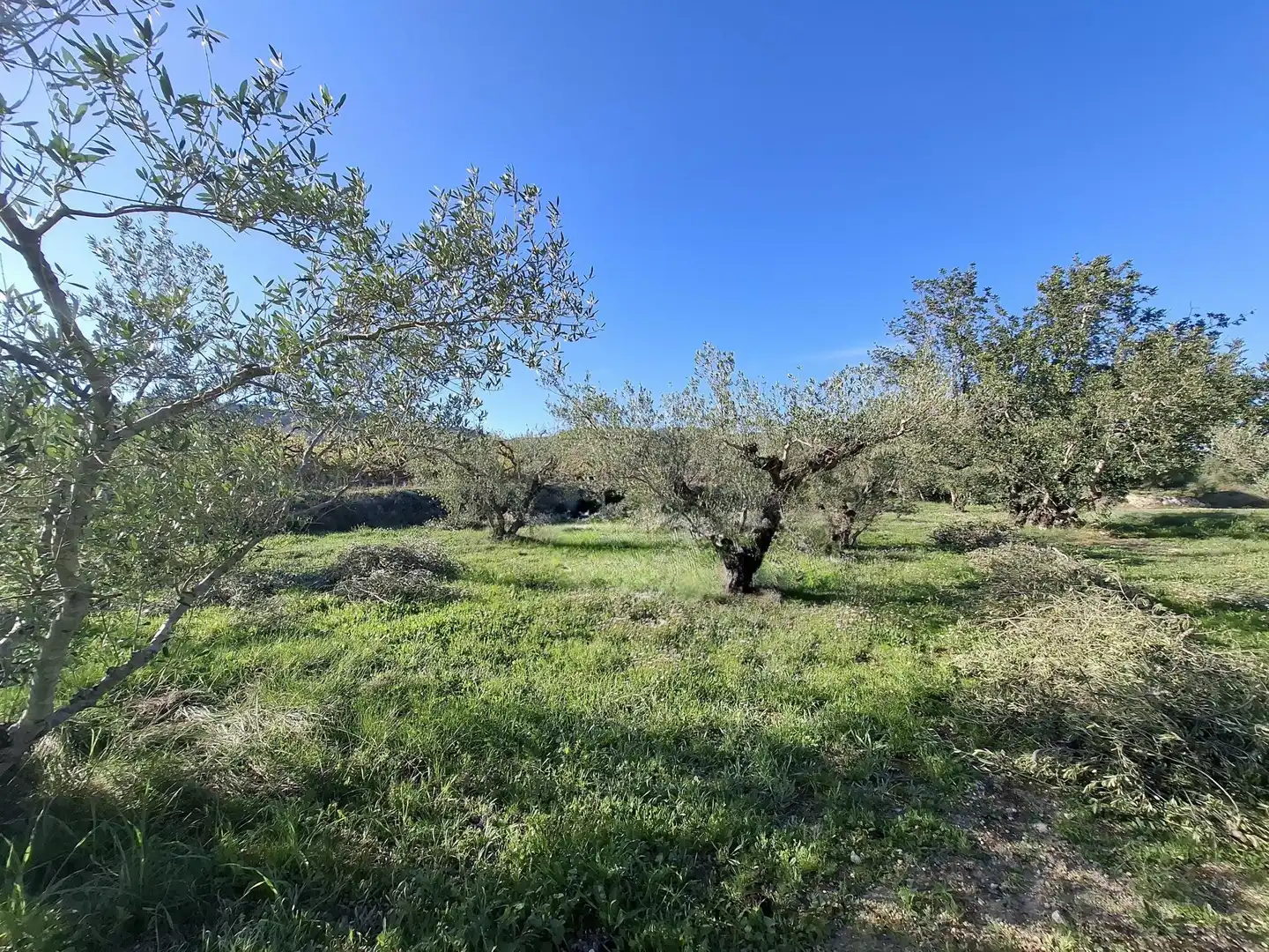 Residential for sale in Aielo de Malferit
