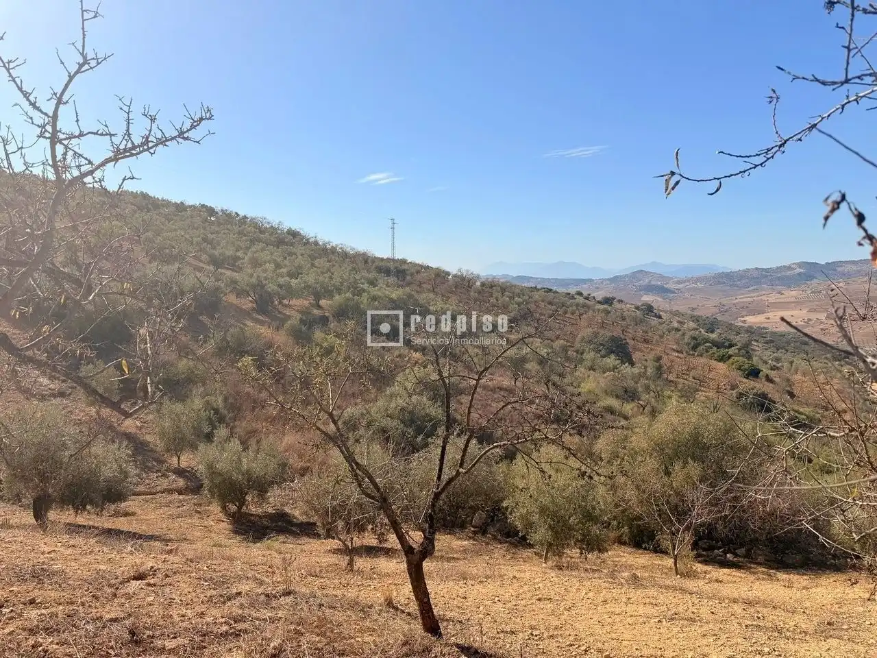 Residential land for sale in Diseminados, imagen 6