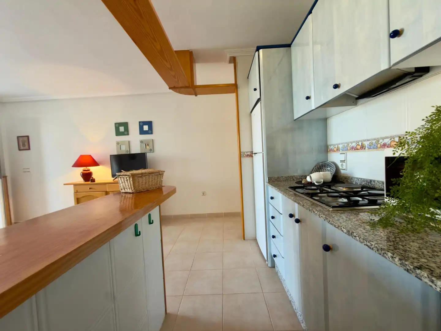 Cocina de Casa o chalet en venta en Torrevieja con Jardín privado, Amueblado y Piscina comunitaria