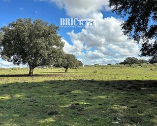 Land for sale in Cáceres Capital