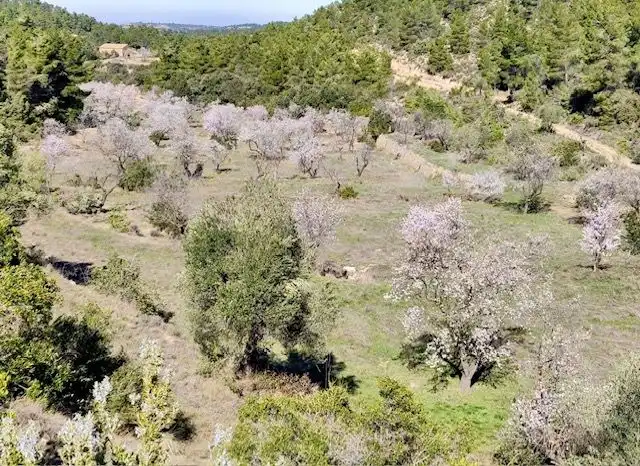 Terrenos y solares en venta en Valjunquera, imagen 14