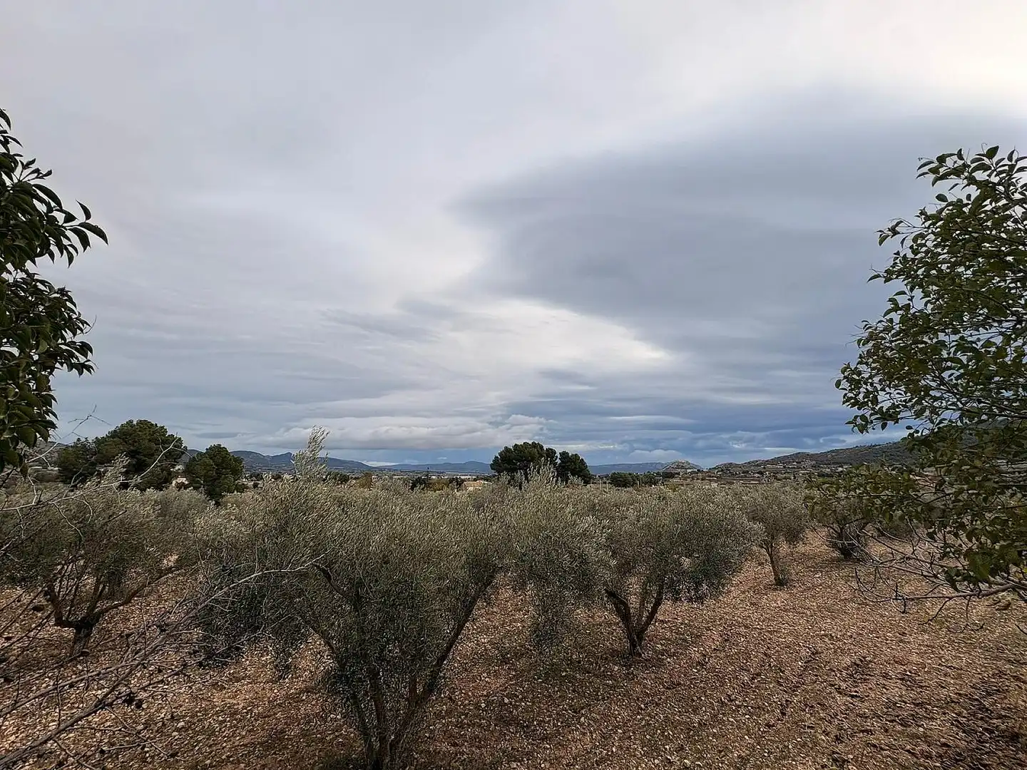 Terrain résidentiel à vendre à Onil, imagen 5