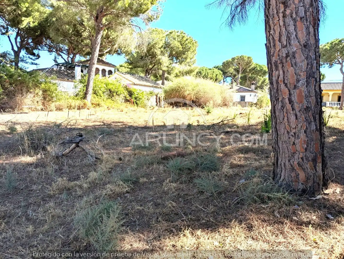 Terreni e lotti in vendita a Oromana, imagen 6
