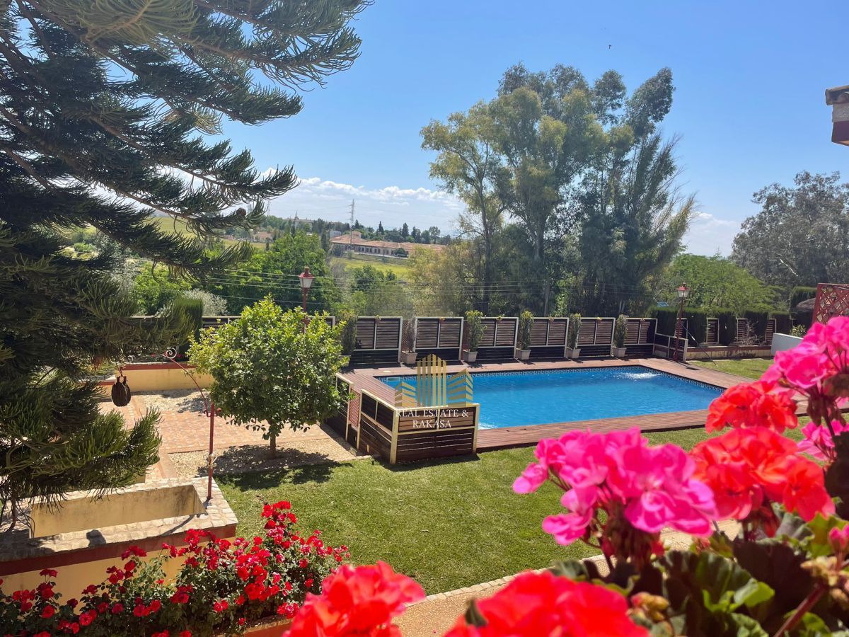 Swimming pool of House or chalet to rent in Alcalá de Guadaira