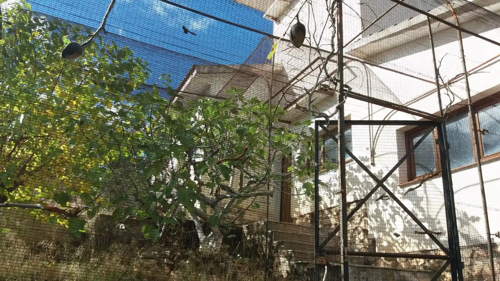 Casa o xalet en venda a Albalate de Zorita
