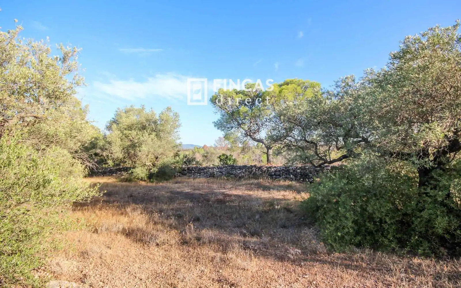 Country homes for sale in Xerta