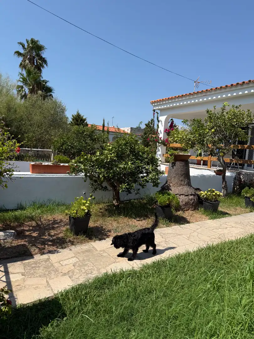 Jardín de Casa o chalet en venta en Vinaròs con Aire acondicionado, Calefacción y Jardín privado
