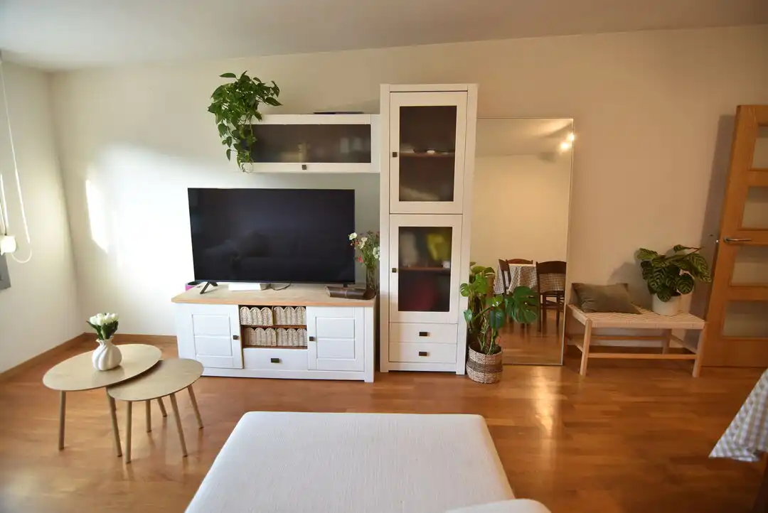Sala d'estar de Pis en venda en Mendaro, Gipuzkoa