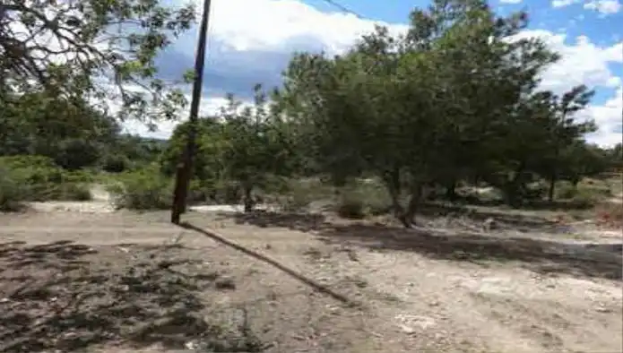 Terreno rustico in vendita a C/ Pinzón-Corral Blanc, imagen 8