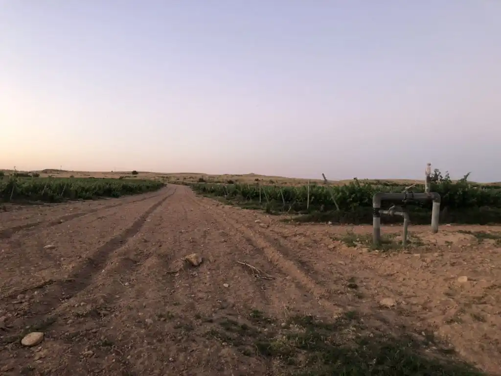 Terreni e lotti in vendita a Tobarra, imagen 4