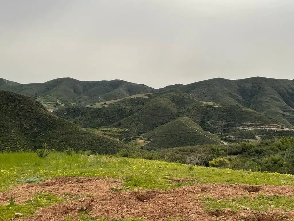 Country homes for sale in Cartagena