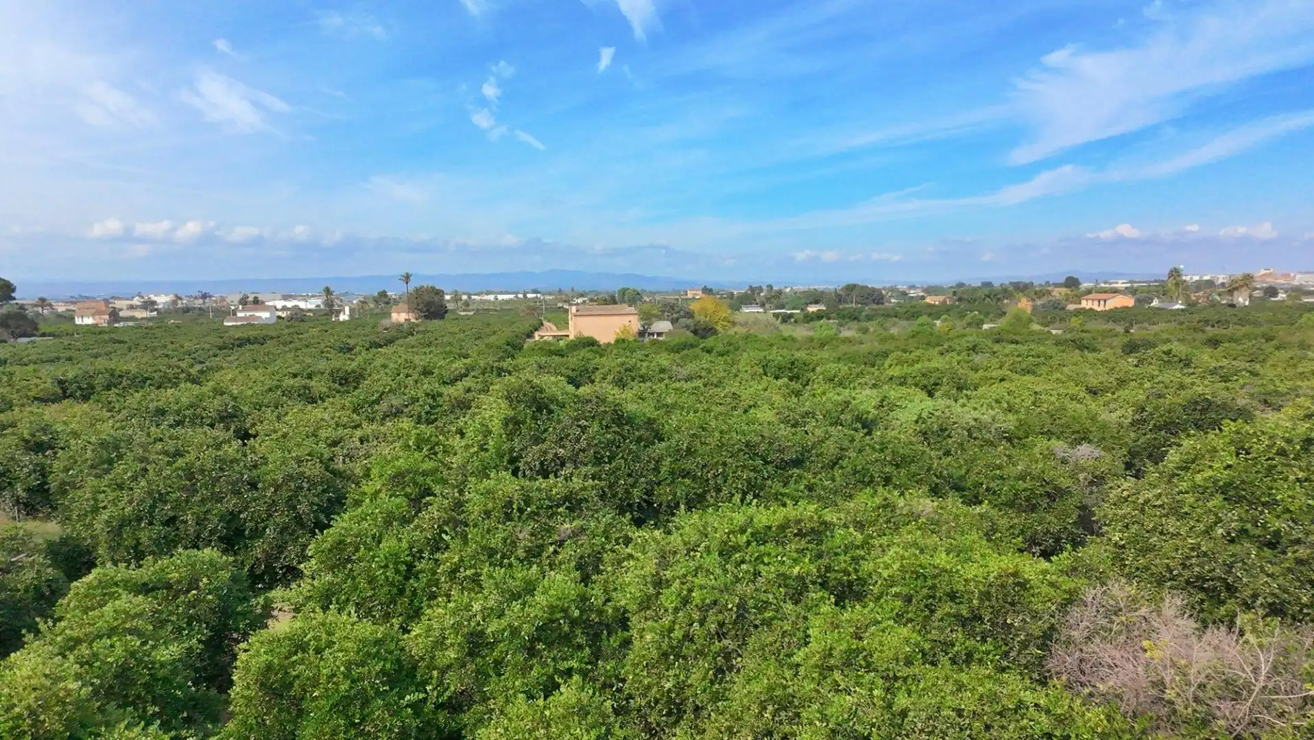 Finca rústica en venda en Carcaixent amb Aire condicionat, Calefacció i Jardí privat