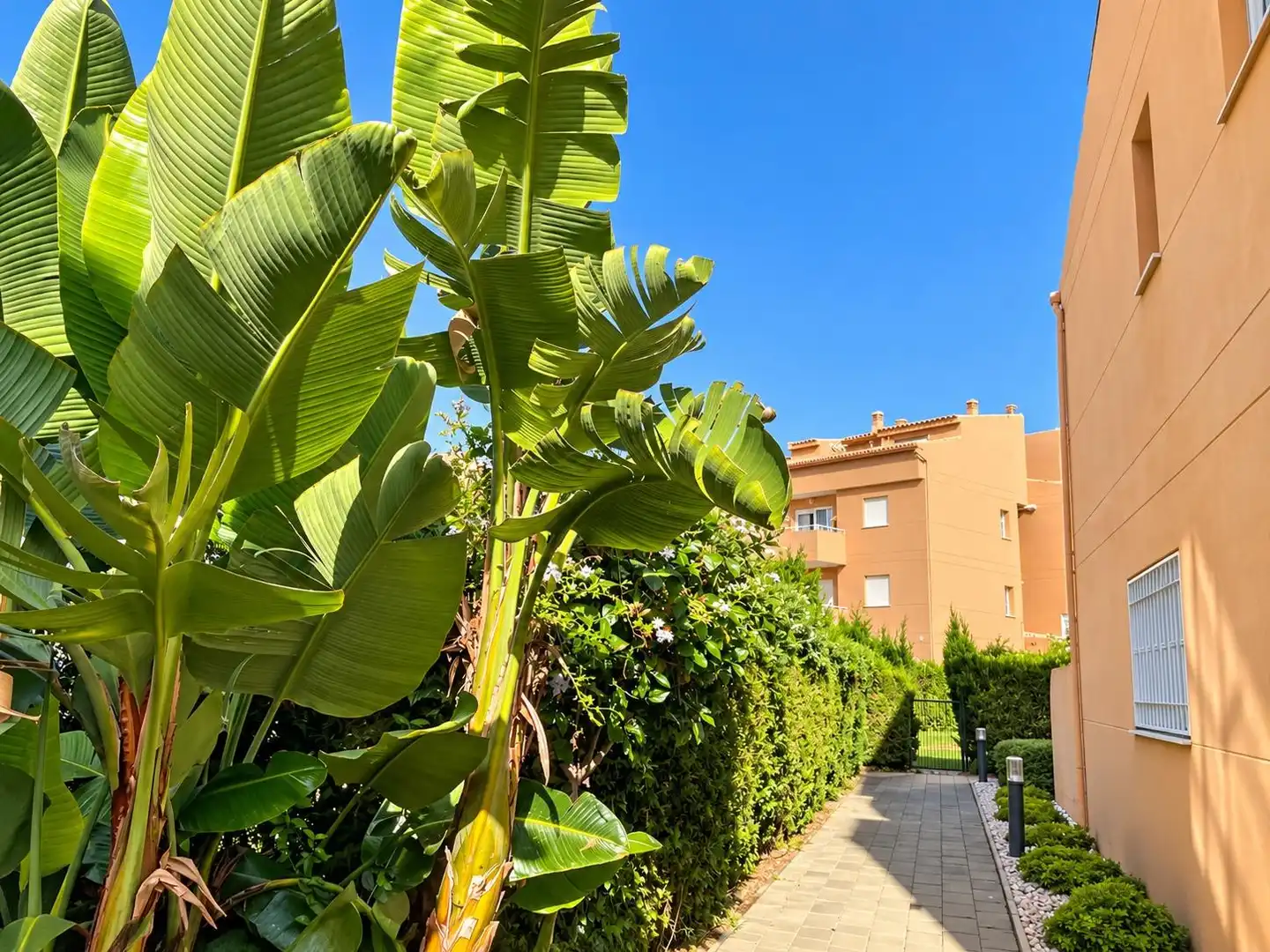 Maison mitoyenne avec terrasse à vendre à Urbanizacion de Andasol, imagen 17