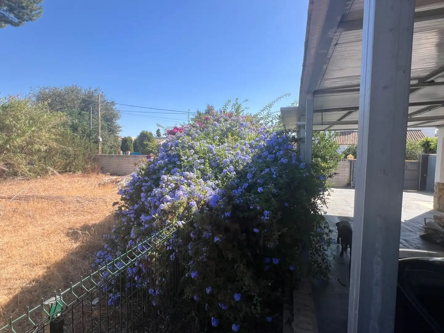 Jardín de Casa o chalet en venta en Pedanías Sur 
