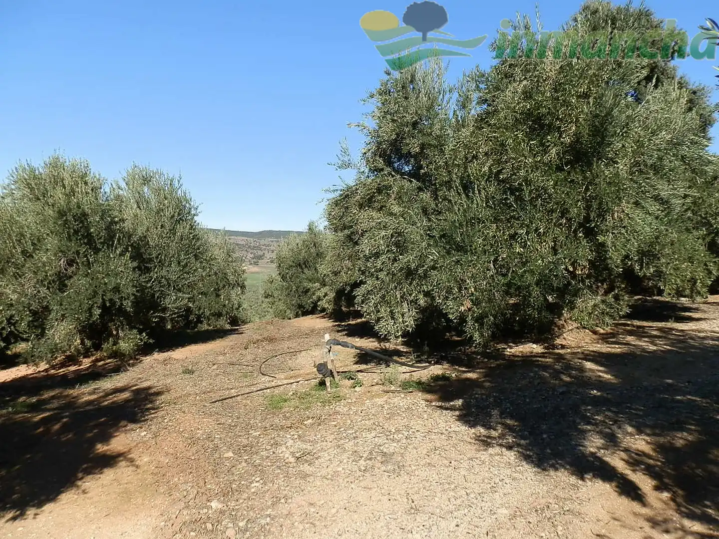 Terrain rustique à vendre à Puente de Génave, imagen 17
