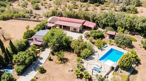 Finca autosuficiente con piscina de agua salada y casa de invitados en Algaida, imagen 3