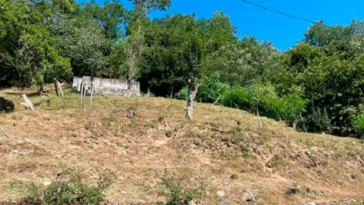 Lands and plots for sale in SITIO VIÑOTE, ARNOIS PG 508 PARC. 75, imagen 7