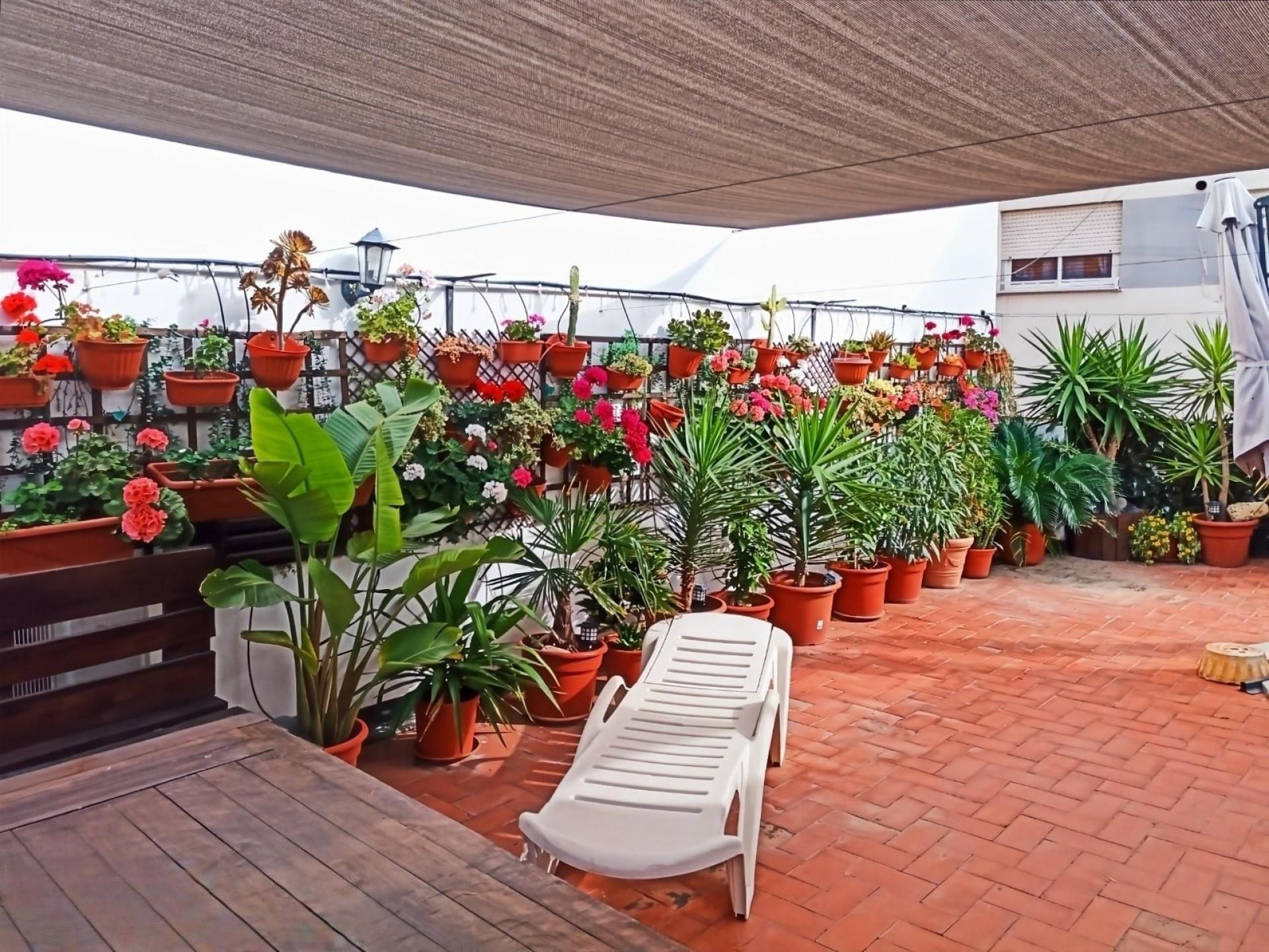 Terrace of Flat for sale in Sagunto / Sagunt