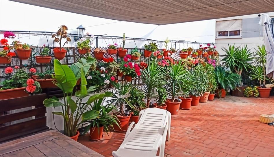 Foto 1 de Piso en venta en Playa Puerto de Sagunto, Valencia