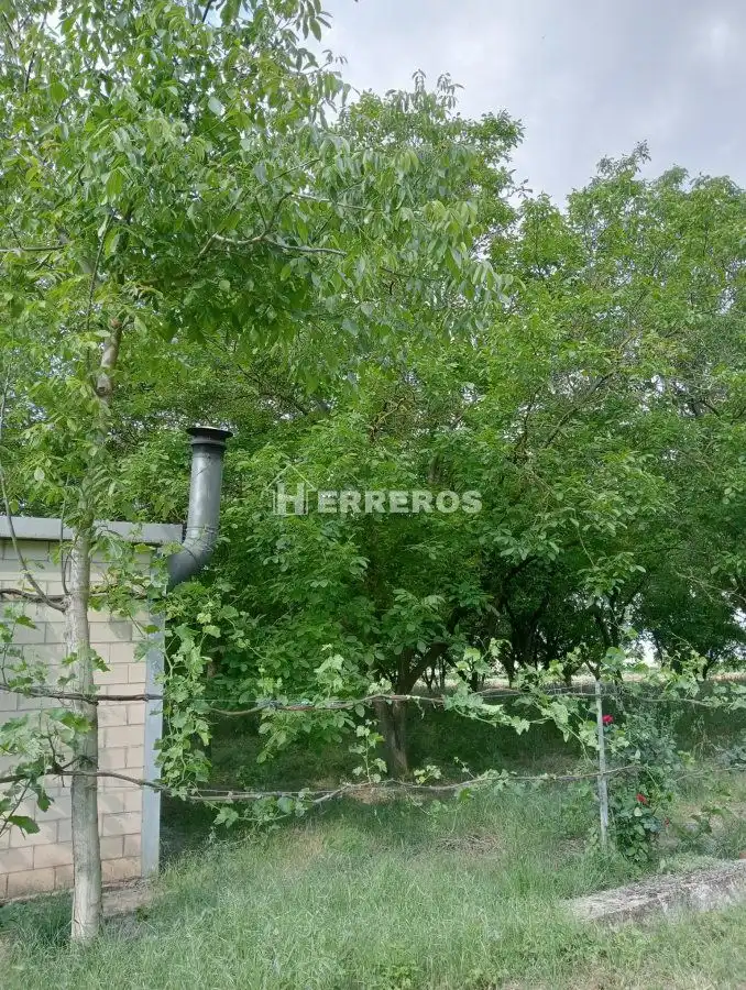 Finca rústica en venda en Arrúbal