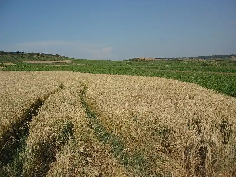 Terreny rústic en venda a Villamediana de Iregua, imagen 4