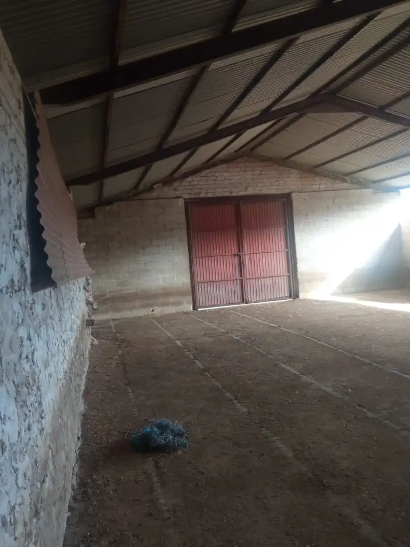 Land for sale in Cardeña