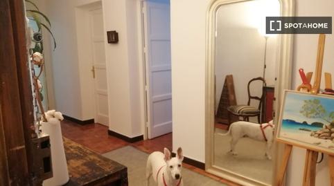 Photo 4 of Flat for share in Gaztambide,  Madrid Capital