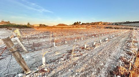 Foto 5 de Finca rústica en venda a Novelda, Alicante