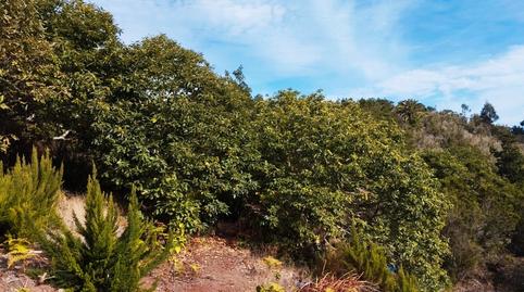 Foto 2 de Finca rústica en venta en Agulo, Santa Cruz de Tenerife