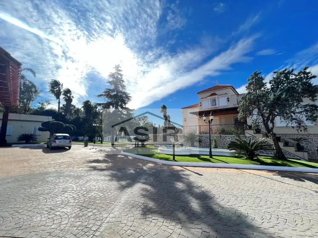 Vista exterior de Casa o chalet en venta en Alzira con Aire acondicionado, Terraza y Piscina