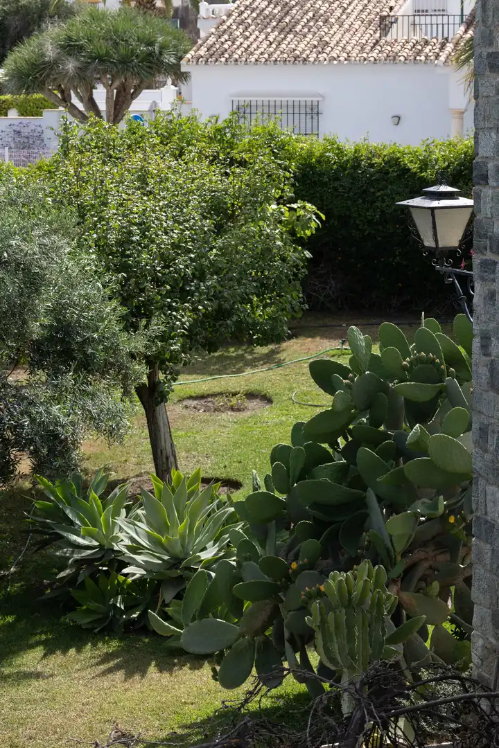 House with terrace for sale in Este, imagen 6