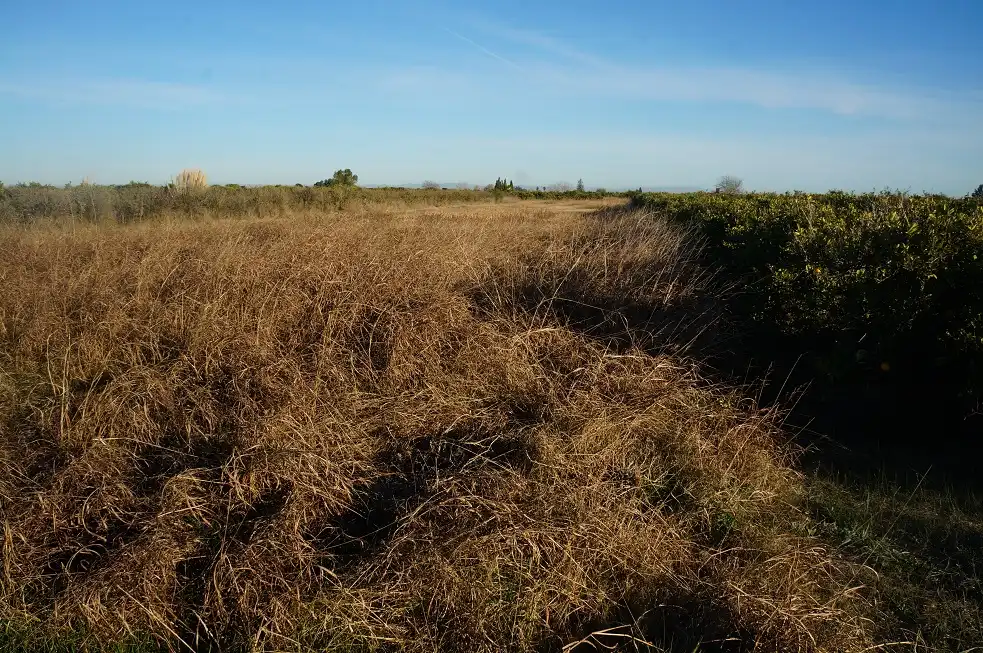 Rural land for sale in Pt La Mola, imagen 6